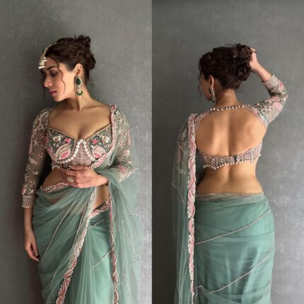 Butterfly net saree