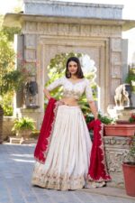 Lehenga choli set for women