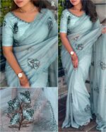 organza saree